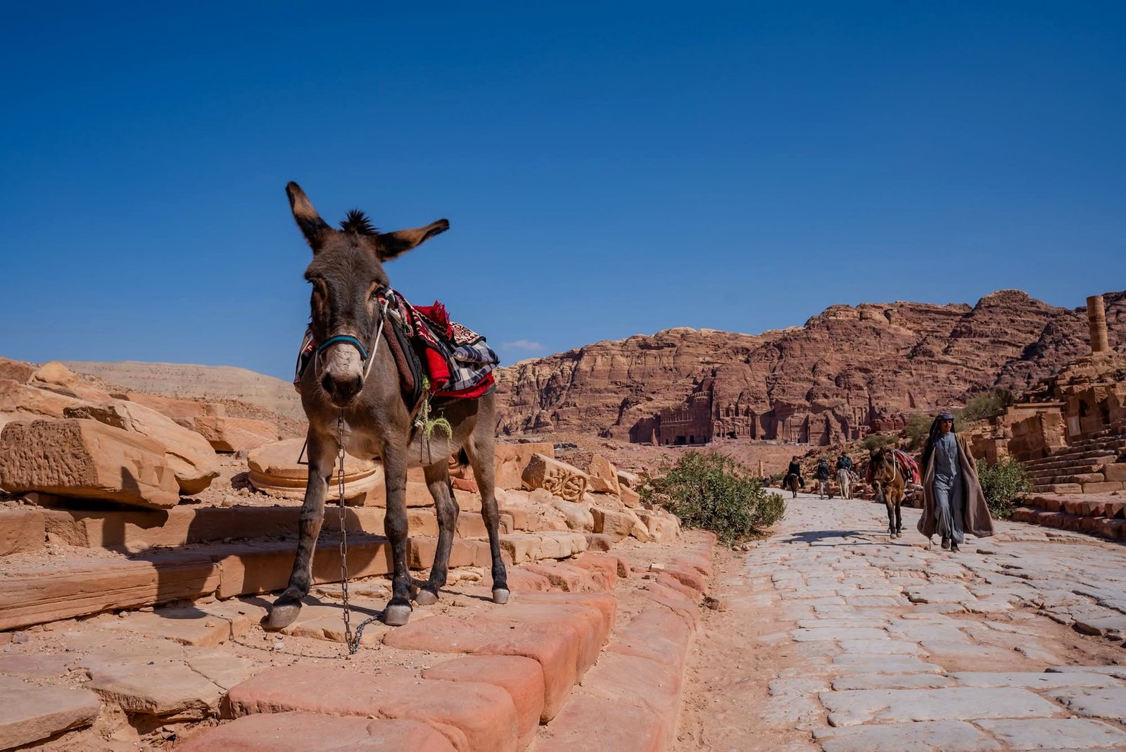 Burro com sela beduína na rua colunada de Petra, com os Túmulos Reais ao fundo