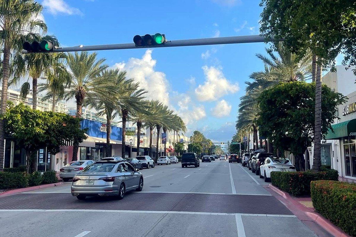 Avenida com palmeiras em Miami