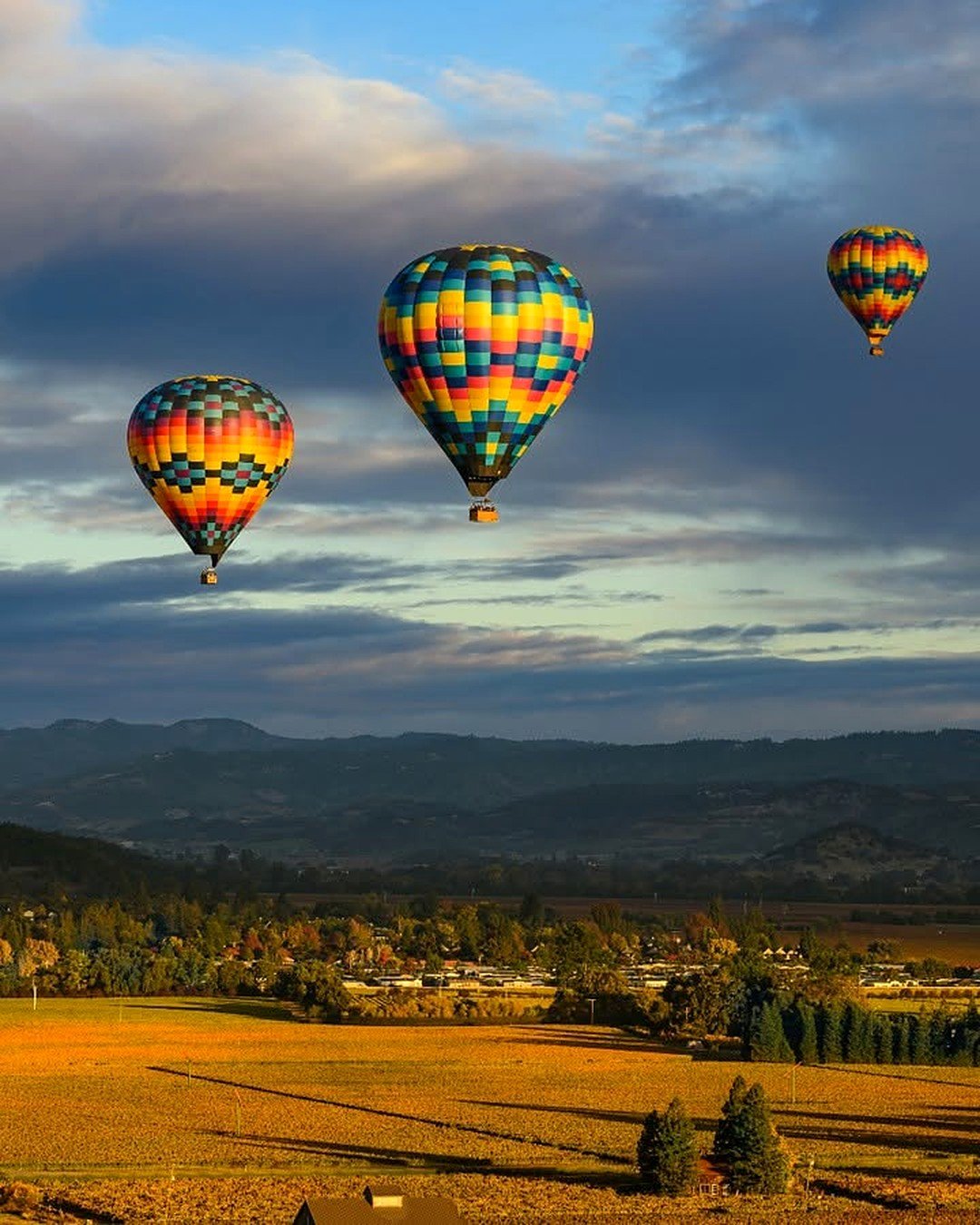 Balões de ar quente sobre os vinhedos de Napa Valley