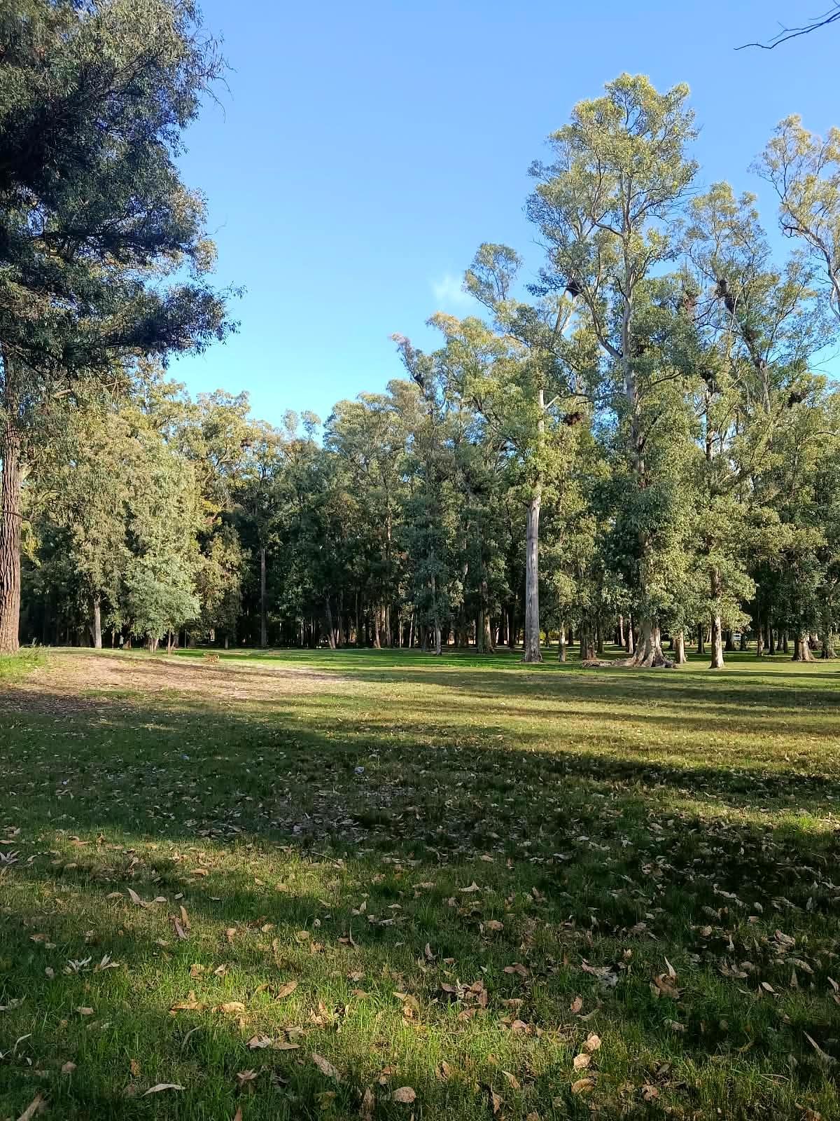 Gramado e árvores altas em parque de Montevidéu