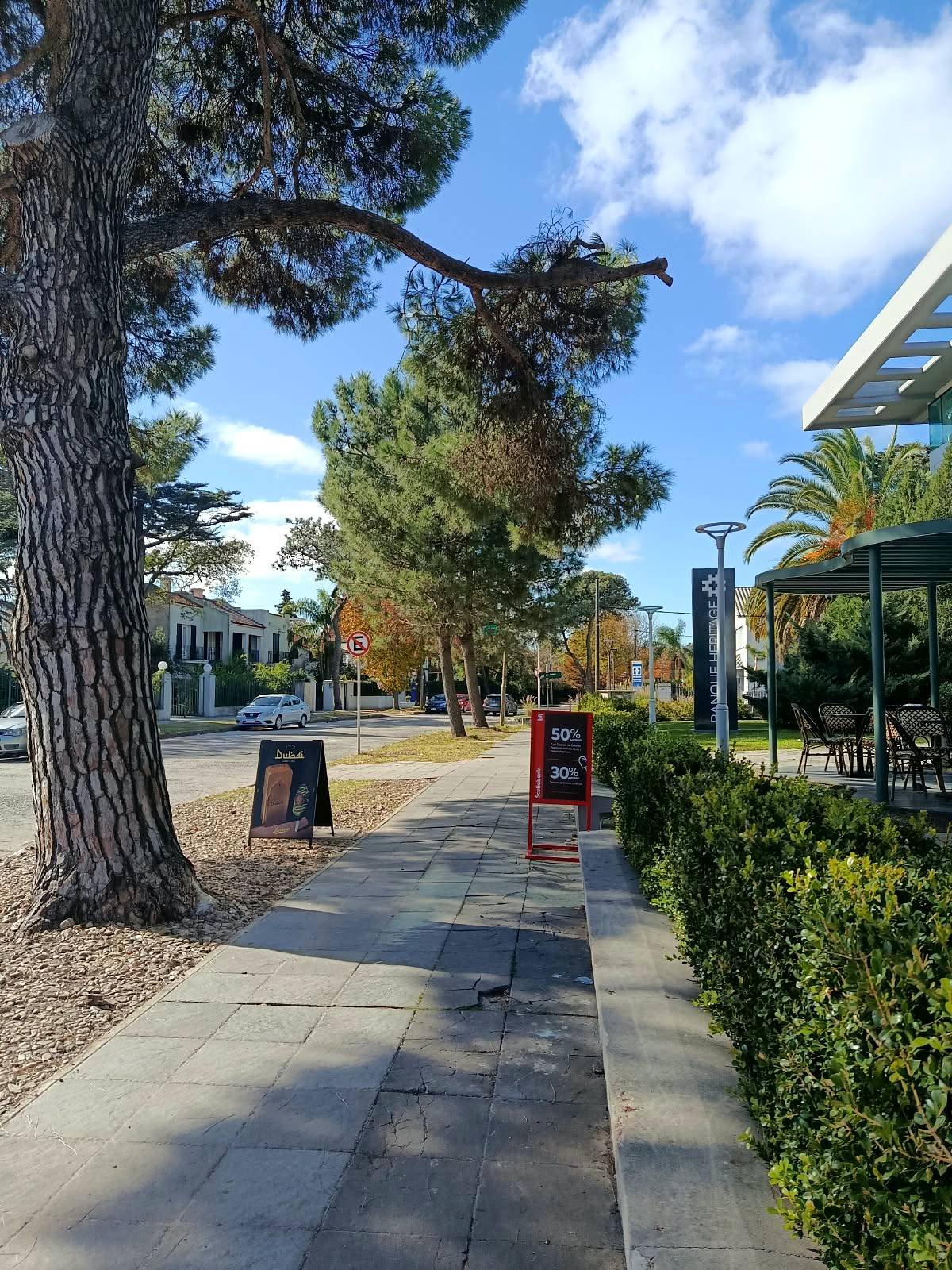 Rua arborizada com pinheiros e casas no bairro de Carrasco, em Montevidéu