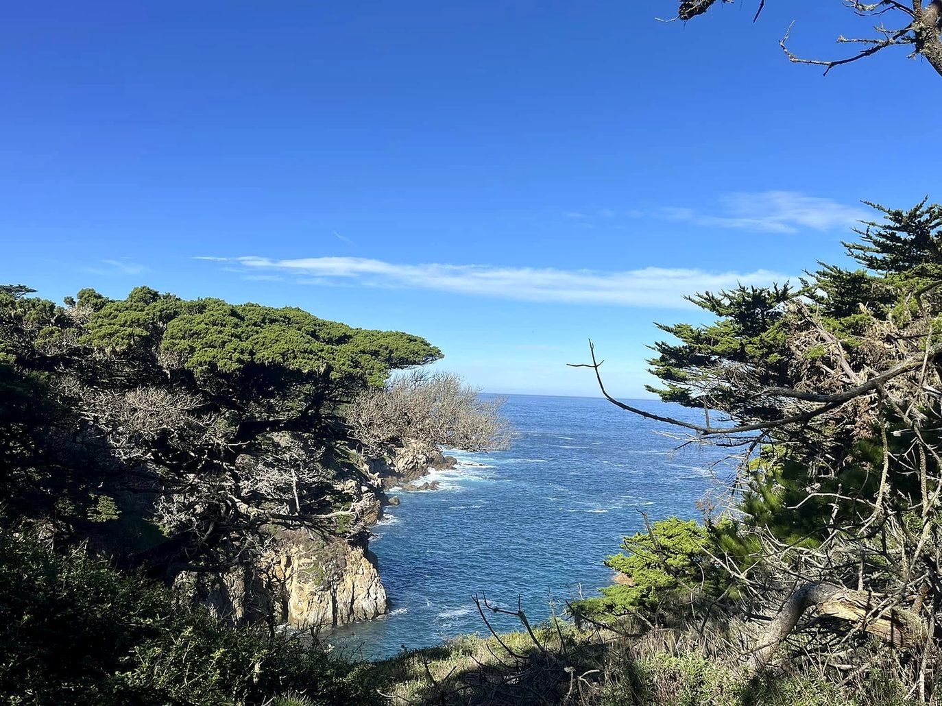 Enseada com ciprestes e mar azul na reserva de Point Lobos, perto de Carmel