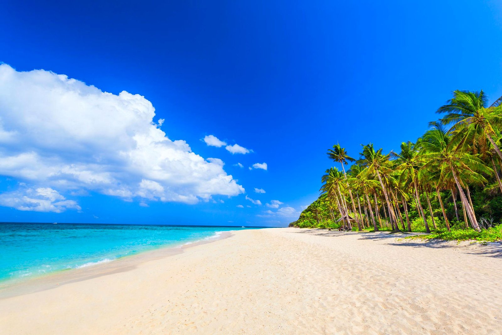 Praia de areia branca com coqueiros e mar azul-turquesa em Boracay, nas Filipinas