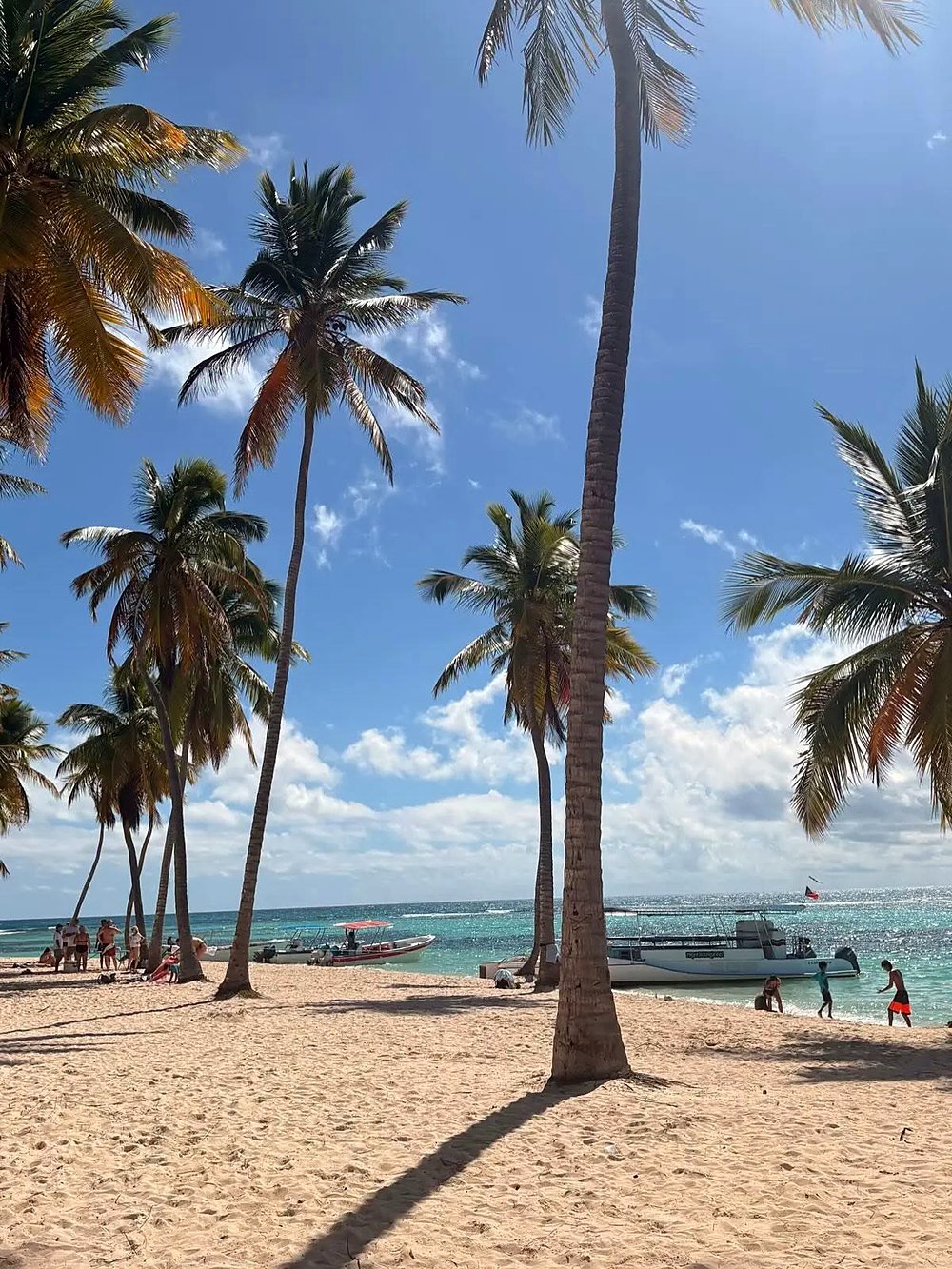 Coqueiros e barcos na praia da Ilha Saona