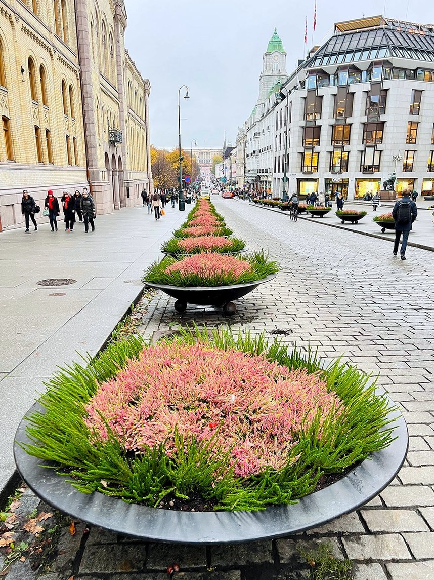 Karl Johans gate com floreiras e o Palácio Real ao fundo