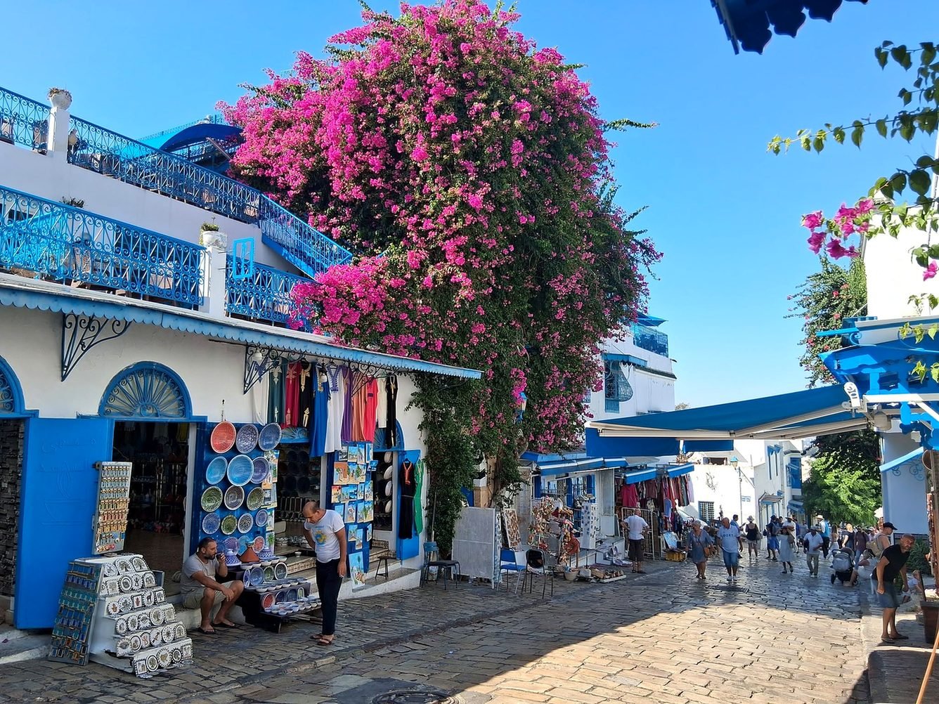 Rua de pedra com buganvília e lojas azuis em Sidi Bou Said