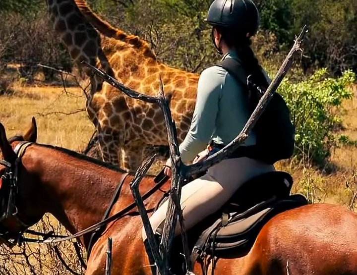 Safári a cavalo ao lado de uma girafa no Aquila Private Game Reserve