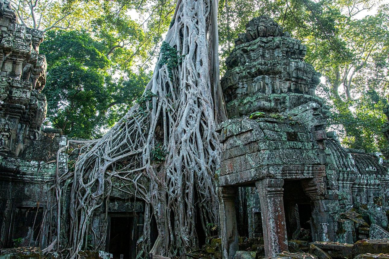 Árvore com raízes enormes sobre um portal do templo Ta Prohm, em Angkor