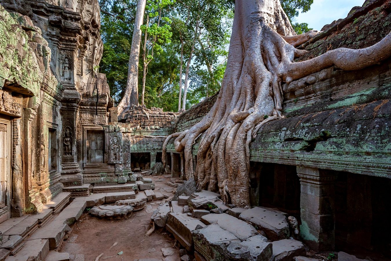 Raízes gigantes de árvore sobre as ruínas do templo Ta Prohm, em Siem Reap