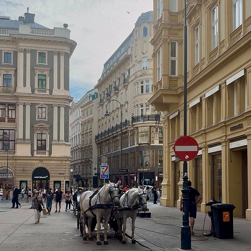 Carruagem com cavalos brancos na Kohlmarkt, no centro de Viena