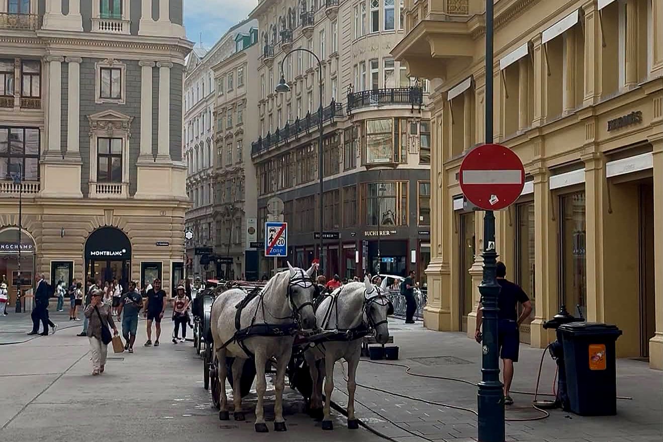 Carruagem com cavalos brancos na Kohlmarkt, no centro de Viena