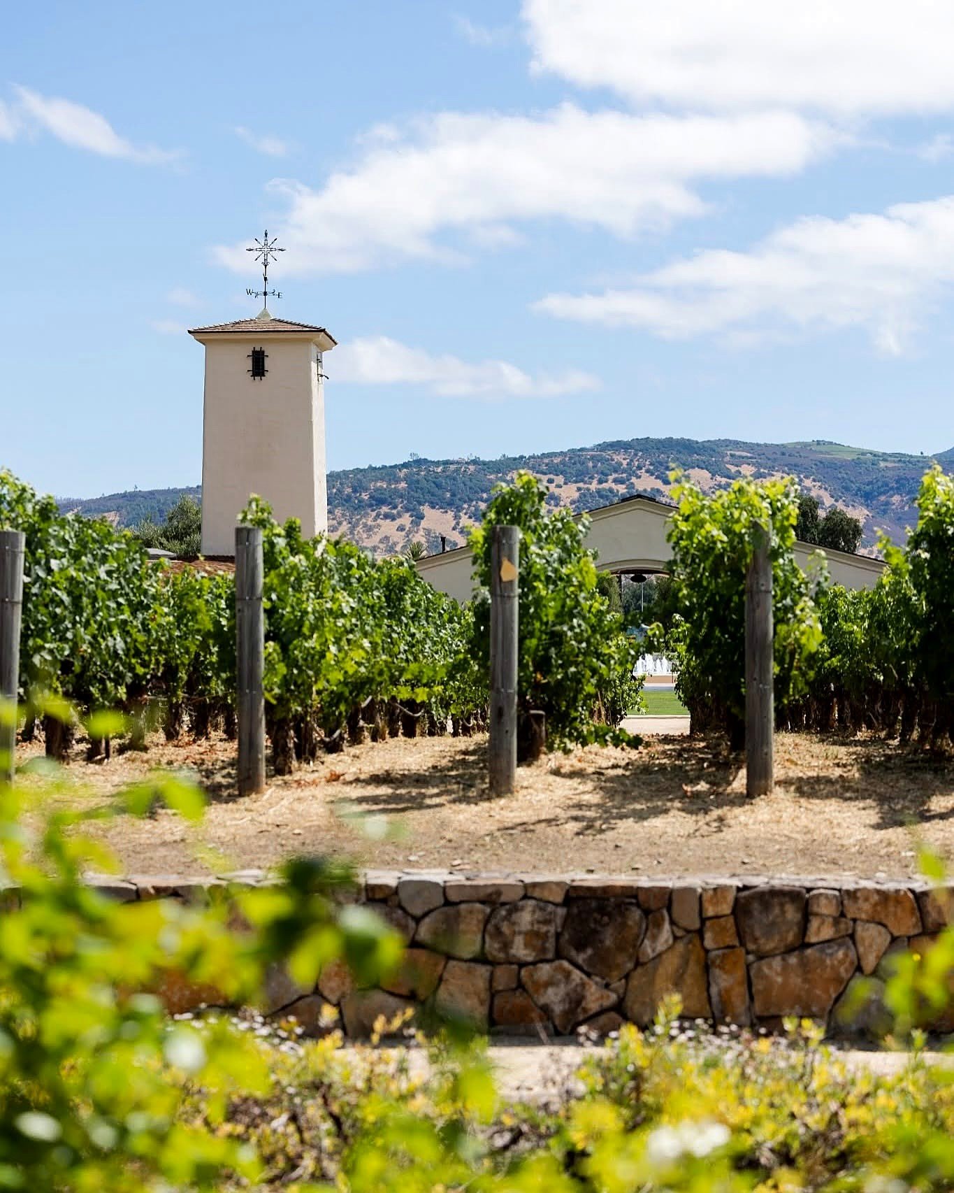 Torre da vinícola Robert Mondavi entre vinhedos em Oakville, Napa Valley