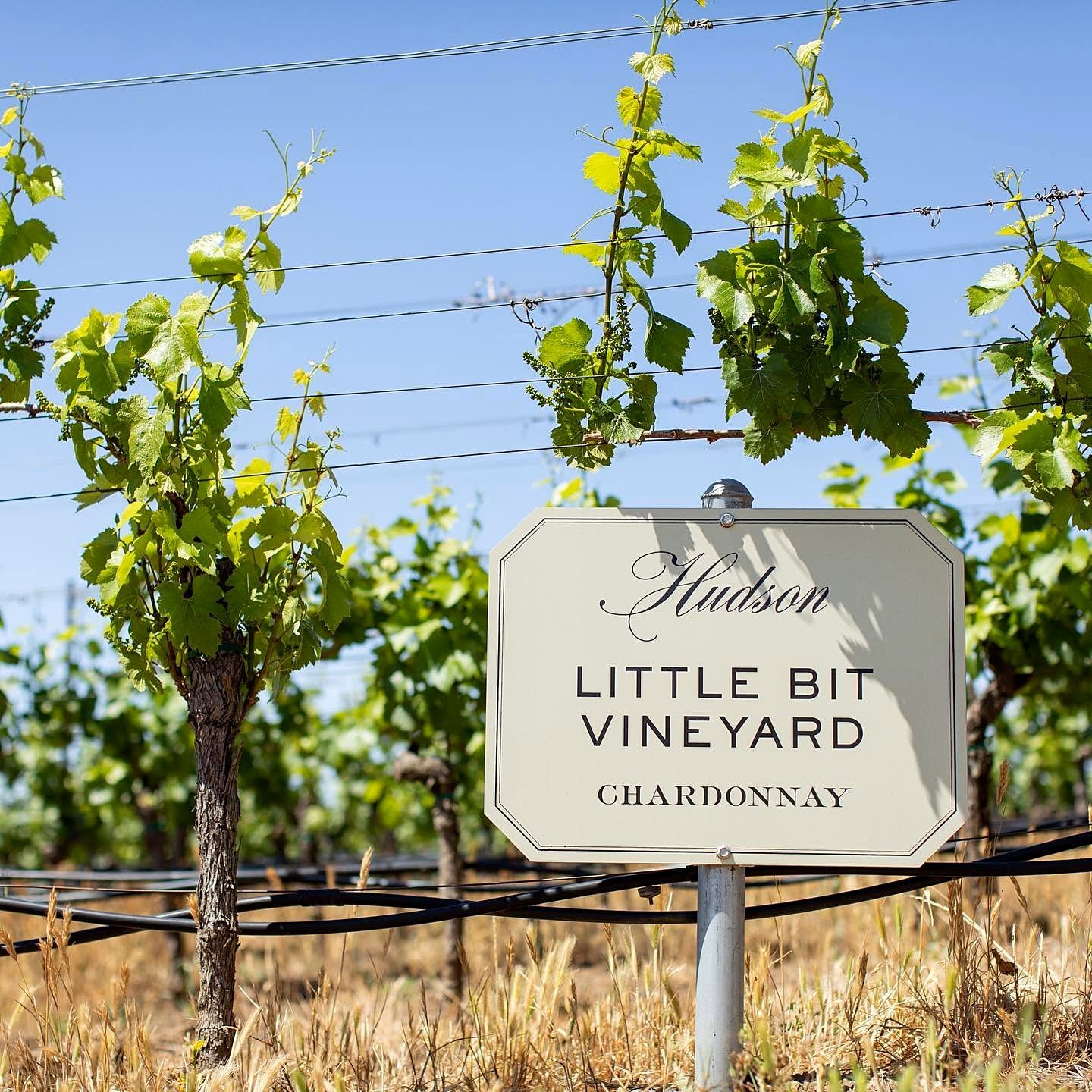 Placa do vinhedo Hudson Little Bit Vineyard Chardonnay em Carneros